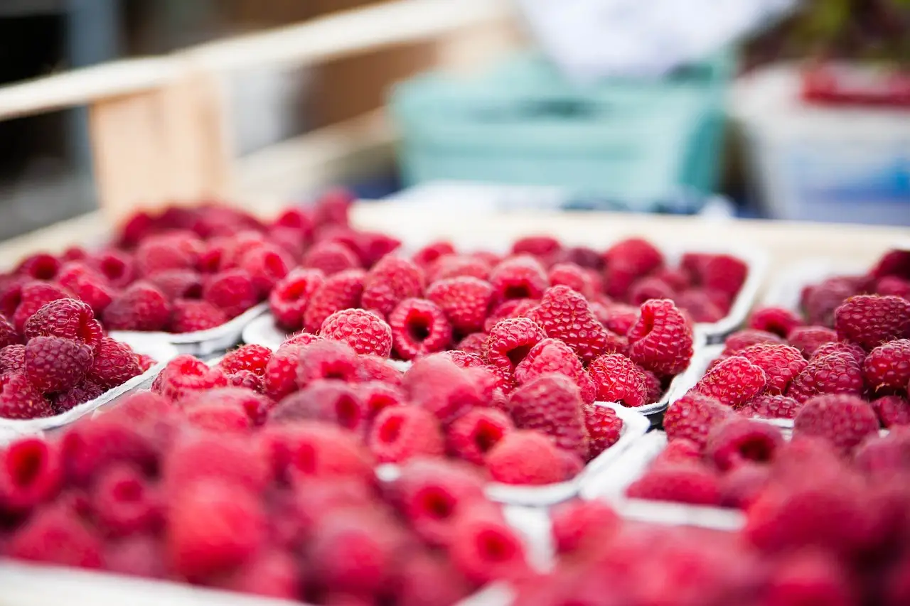 5 Reasons Why Market Research is Essential for Business Success